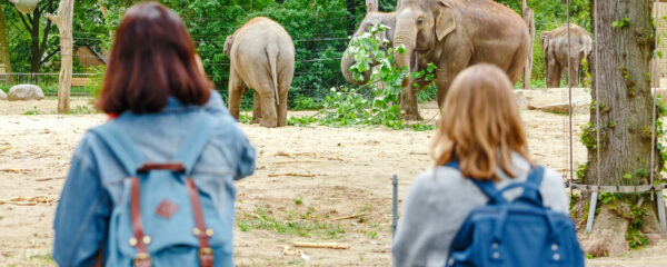 visite au zoo